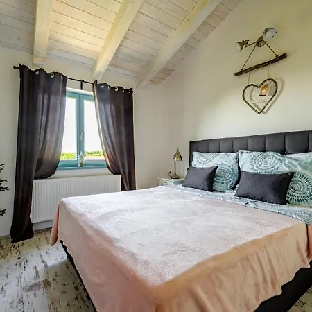 Desire For 10 People In Istria With Private 53 M2 Pool And Pet Friendly Juršići