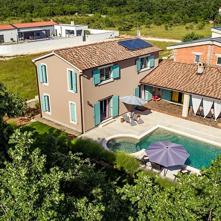 Desire For 10 People In Istria With Private 53 M2 Pool And Pet Friendly *